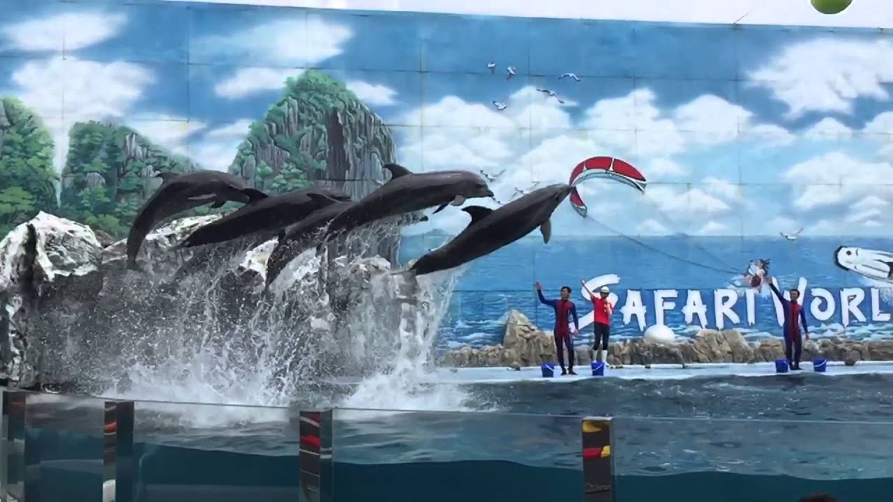 SAFARI WORLD BANGKOK YouTube SAFARI WORLD BANGKOK YouTube