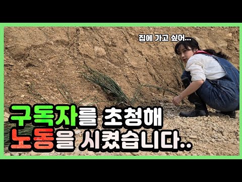 <strong>도롱뇽</strong> 계곡을 꾸미는 손쉬운 방법?!