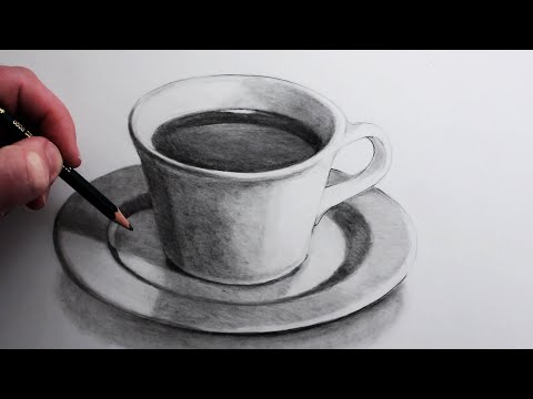 How to Draw a Cup and Saucer Step-by-Step for Beginners