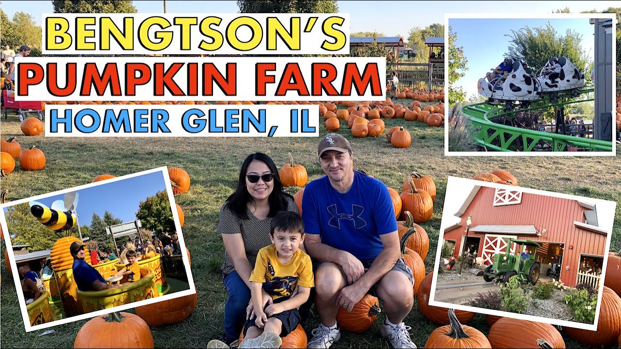 Bengtson's Pumpkin Farm 2020 Pumpkin Patch Homer Glen, IL The