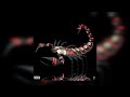 [SOLD] PHONK Type Beat (Base loop) - "Scorpion"