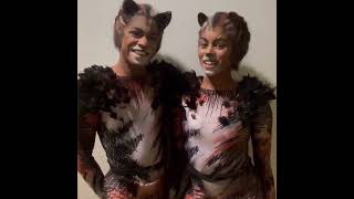 Cats - The Musical van 14 t/m 18 december 2022 in Rotterdam Ahoy