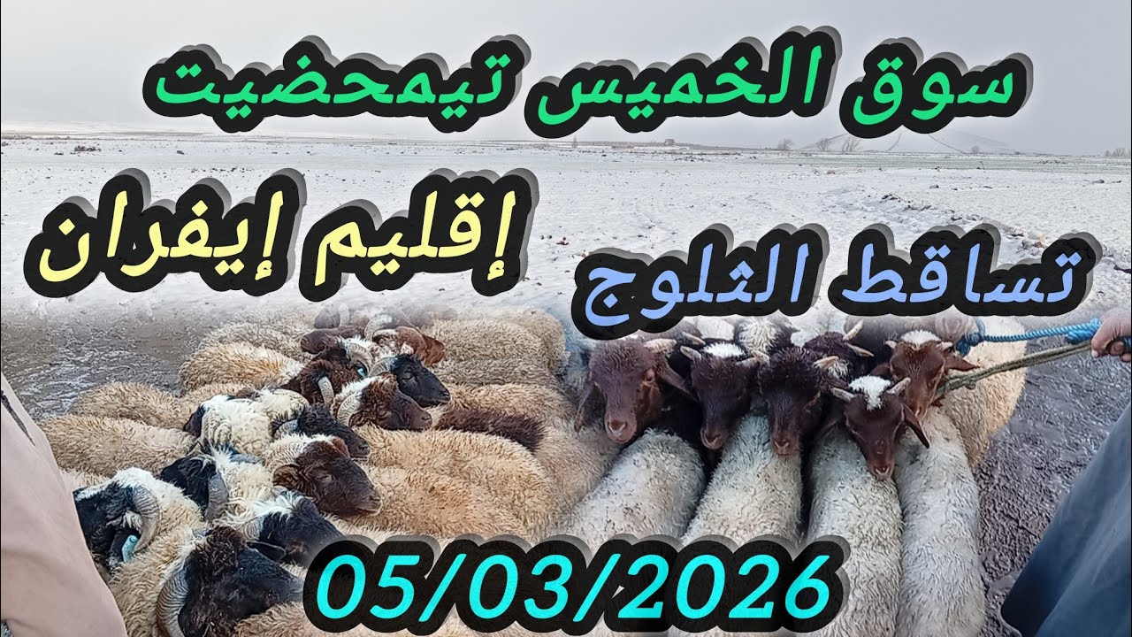 #سوق الخميس تيمحضيت بتاريخ 05/03/2026#اكسبلور #foryou #animals 