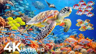 Dive Into the Mesmerizing Underwater Realm 🐬 Marvel at Sea Animal in The Best 4K UHD Aquarium #17