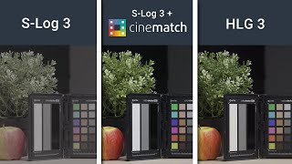 Instant Colour Matching is Actually Possible Using Cinematch!