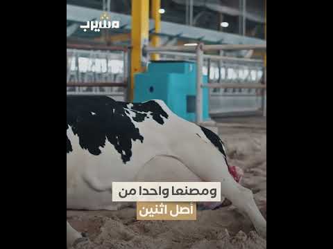 بلدنا تطلق المرحلة الأولى من مشروعها لإنتاج الألبان بالجزائر