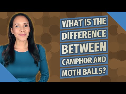 What is the difference between camphor and moth balls?