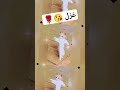 الاكتر طلبا غزل غزل ترند   بنات   