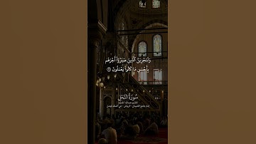 ما تيسر من سورة النحل | القارئ عبد الله الحميّد #اكسبلور #المصحف #القرآن_الكريم