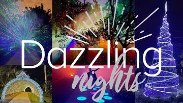 Dazzling Lights Orlando Sizzle Reel