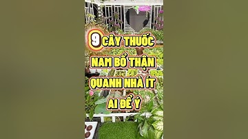 9 CÂY THUỐC NAM BỔ THẬN QUANH NHÀ ÍT AI ĐỂ Ý  #nhipsongxanh #chamsocsuckhoe #songkhoemoingay