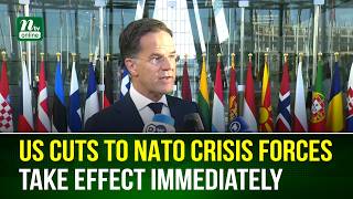 US Cuts to NATO Crisis Forces Take Effect Immediately, Says NATO Chief Rutte | NTV Global