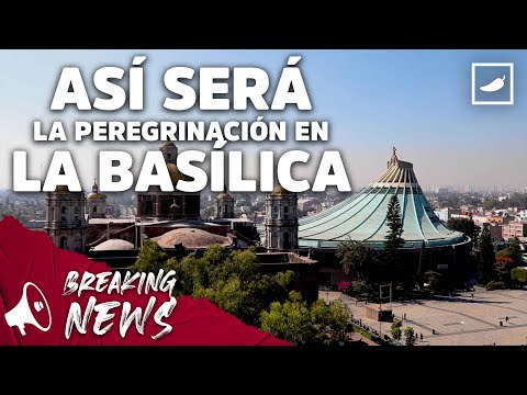 Así será la peregrinación a la Basílica