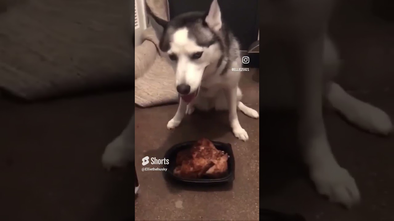 Ellie’s birthday🥳 