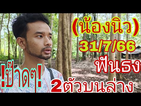 ผลสลากกินแบ่งรัฐบาล วันที่ 1 พย. 2567 ผลสลากกินแบ่งรัฐบาล วันที่ 1 พย. 2567