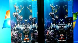 IE9 &amp; CHROME GPU acceleration with NVIDIA driver