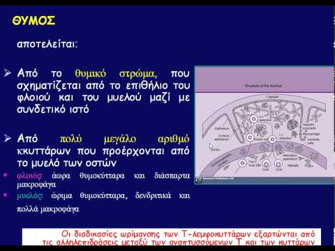 Βίντεο: Τι είναι η δομή και ο σχεδιασμός του οργανισμού;