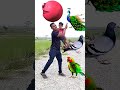 VFX VFX Viral Funny Trending VFX #vfx #vfxindia #vfxhd... #Shorts #bebuvfx