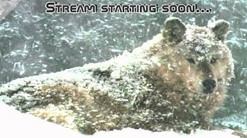 Chrono Trigger?! SNES Version!  Come hang out!