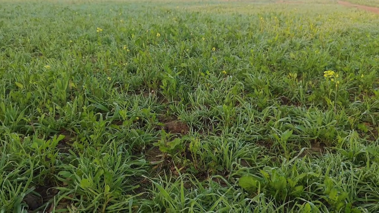 Beautiful Background With Beautiful Awaz 