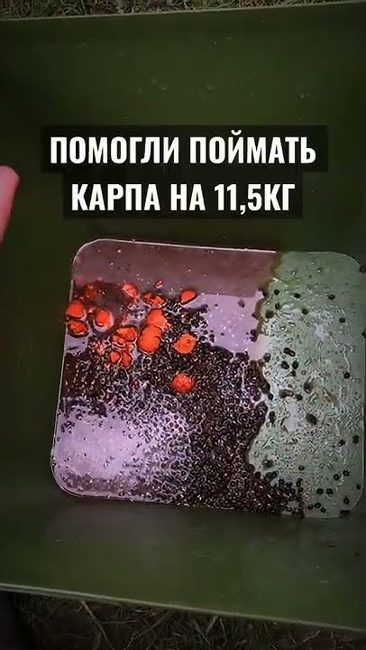Прикормка для холодной воды - YouTube