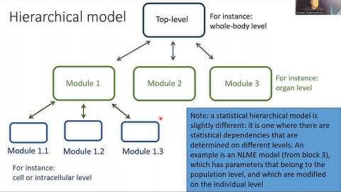Modular hierarchical and hybrid models