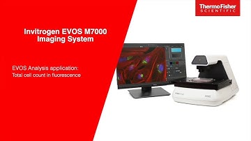 EVOS M7000 Analysis application: Total cell count in fluorescence