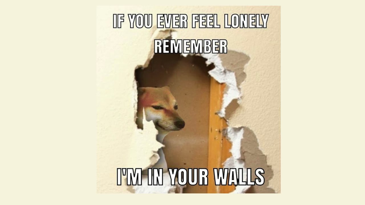 TOP 5 PEOPLE WHO LIVE IN YOUR WALLS