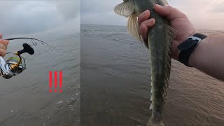 Lure Fishing for Flathead at Nudgee Beach Brisbane - two useful methods that catch fish!