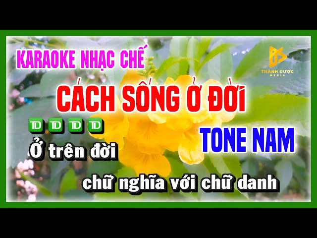 Karaoke CÁCH SỐNG Ở ĐỜI - Mãi Mê Lợi Danh Đánh Mất Anh Em - Nhạc Chế TONE NAM class=