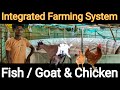 Integrated Farming : Revolutionizing Agriculture for Sustainable Success