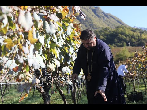 ღვინის დუღილი, მეორადი დუღილი, გადაღება - ღვინის სოფელი / Wine Village