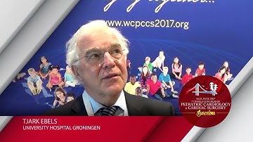 WCPCCS2017 - TJARK EBELS