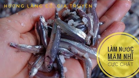 Quy trình làm nước mắm cá cơm than Đà Nẵng| Xem ủ mắm bằng lu sành và muổi biển từ Sa Huỳnh.