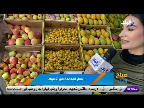 التفاح المصري ب 70 جنيه والبلح البرحي 110 أسعار الفاكهة اليوم في الأسواق