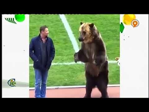 فان فوتبال ۱۲۰ ۲