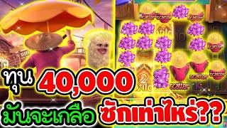 เฮียริช สวิตเซอร์แลนด์ ► ทุน 40000 มันจะเกลือ ซักเท่าไหร่ !! Thai River Wonders / PG