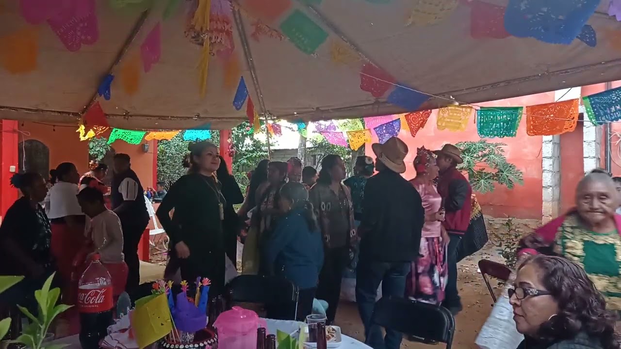 Fiesta en Matías Romero Musical Plata 💃 ️‍🔥🕺 YouTube