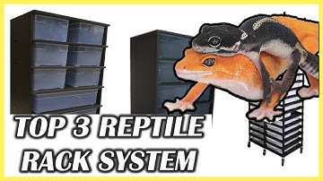 My Top 3 Reptile Rack System