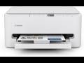 Canon PIXMA TS6520 All-in-One Printer Review: Compact, Easy Setup & Great Print Quality?