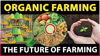 Importance of Organic Farming | What is Organic Farming | Sustainable Agriculture