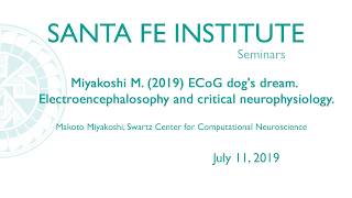 Miyakoshi M. (2019) ECoG dog's dream. Electroencephalosophy and critical neurophysiology.