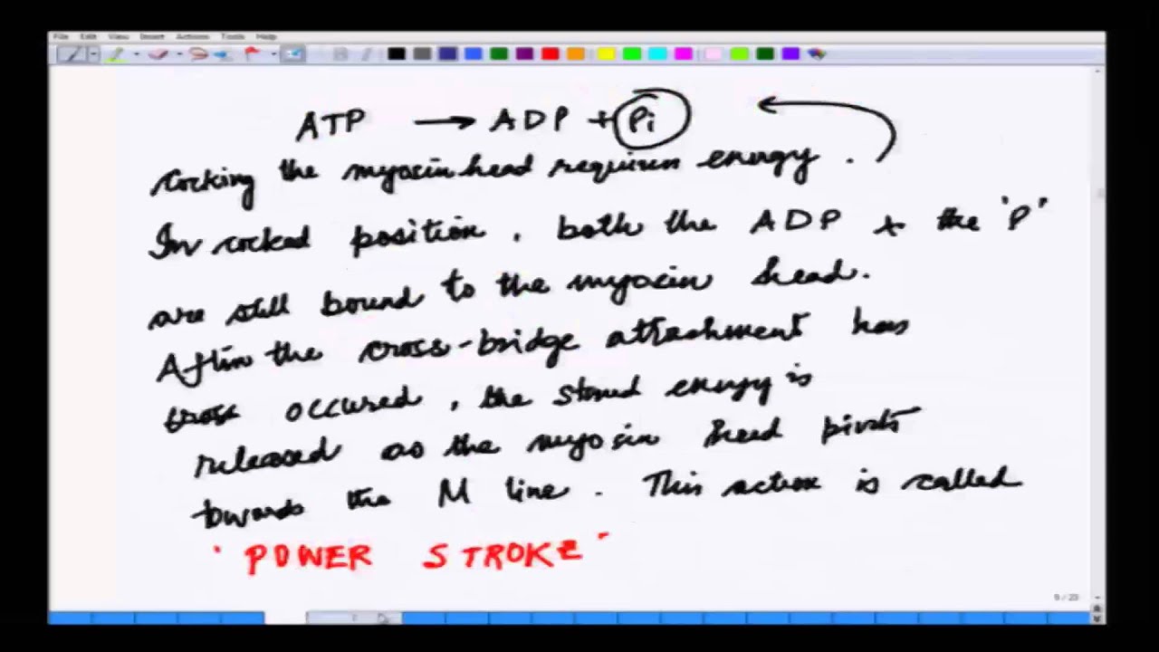 Mod-01 Lec-17 Bio electricity