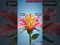 Class 12th Biology | पुष्प की संरचना | पुष्प तथा उसके भाग | Structure of Flower in Hindi | 🔥 |