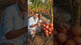 एक बार पौधा लगाएं और पूरे साल आमदनी पाएं #reels #shorts #short #vairalvideo