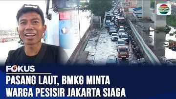 Pasang Laut Mengancam! BMKG Imbau Warga Jakarta Waspada Banjir Rob | Fokus