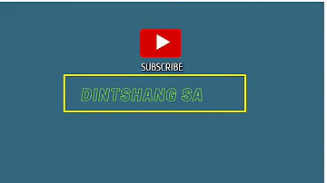 I'm leaving south africa |No Chill In Mzansi | 2021 @Dintshang S.a