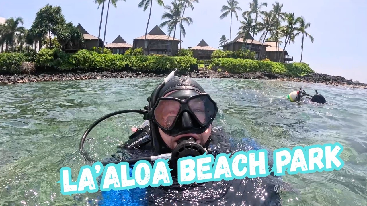 Hawaii Diving Pool Scuba Diving Magic Sands Beach Park Cove in Kona Hawaii - YouTube