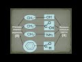 Химия  9 класс  Тема &#39;Классификация органических соединений&#39;