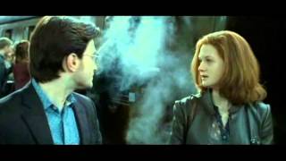 Multicouples Collab - Nothing Lasts Forever - Harry/Ginny - Part 23